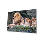 Miyrem Aslanlar Cam TabloLions Table 110X70- myrm7552