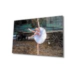 Miyrem Balerin Cam Tablo 110X70- myrm8076