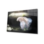 Miyrem Balık Cam Tablo 50X70- myremNM87