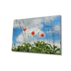 Miyrem Gelincik Çiçeği Cam Tablo Poppy Flower 36x23- myrm4974