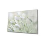 Miyrem Kardelen Çiçeği Cam TabloSnowdrop Flower 110X70- myrm5024