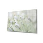 Miyrem Kardelen Çiçeği Cam TabloSnowdrop Flower 36x23- myrm5022