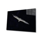 Miyrem Kartal Cam Tablo 36x23- myrm1666