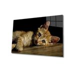 Miyrem Kedi Cam Tablo 30X45- myremNM98
