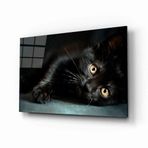 Miyrem Kedi Hayvan Cam Tablo 50X70- myremNM473