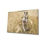 Miyrem Köpek Cam Tablo 110X70- myrm1632