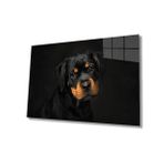 Miyrem Köpek Hayvan Cam Tablo 110X70- myrm2948