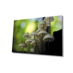 Miyrem Mantar Bitki Yeşil Cam Tablo 110X70- myrm10344