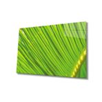 Miyrem Yeşil Bitki Green Plant 110X70- myrm10248
