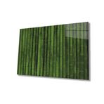 Miyrem Yeşil Silindir Bitki Cam Tablo 36x23- myrm10538