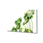 Miyrem Yeşil Yapraklar Bitki Cam Tablo 110X70- myrm10396
