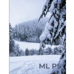 ML PS | Silent Pines Notebook – 120 Ruled Pages, Large 8.5” x 11”: Peaceful Winter Journal for Writing, School, Work, or Gifting – Glossy Finish