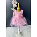 Mnk Baby Kat Dantelli Gül Motif Kız Bebek Elbise PNPN159 - 6 Ay - Pembe
