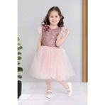 Mnk Baby & Kids Pembe Küpeli Pul Payet Tüllü Kız Çocuk Elbise Özel Günler İçin MNK0526 - 6 Yaş