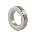 MNS Magneteksan Ø20x12x4 mm Yuvarlak, Delikli, Halkalı Güçlü Neodyum Mıknatıs (5Adet)