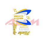 Mobylette Flinta Bionik Yazı Seti 404739870