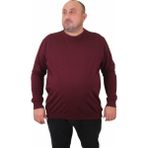 Moc Grande 23216 Mürdüm Sıfır Yaka Erkek Sweatshirt