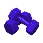 Moccastyle Mavi 2x2 kg Dambıl Seti