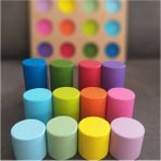 Moccotoys Montessori Ahşap Eşleştirme Silindirleri ve Eğitici Kart Seti 12 Parça – İnce Motor, Renk ve Boyut Algısını Geliştirir