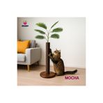 Mocha - Petody Doğal Ahşap Kedi Tırmalama Ağacı