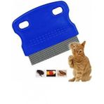 Modajico Kedi Pire Tarağı 6cm x 6cm Hassas Cilt Uyumlu Metal Dişler ile Nazik Tarama