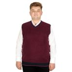Mode XL 20547 Vanize Selanik Mürdüm Erkek Süveter