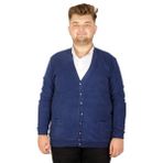 Mode XL 20548 İndigo Vanize Selanik Düğmeli Erkek Hırka