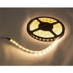 Modelight 3 Çipli İç Mekan 5mt Beyaz Işık Led Şerit