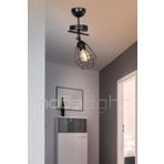 Modelight MDL.4260 Tekli Ekinoks Avize