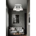 ModeLight Ronda Üçlü Plafonyer Avize Şeffaf Renksiz