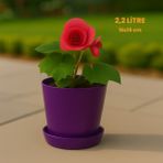 Modern Begonya Saksı 2,2 Litre Tabaklı Çiçek Saksısı – Iç ve Dış Mekana Uygun 16X15 cm - Mor