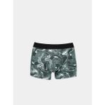 Modern Fit Baskılı Erkek Yeşil Boxer Cl1073727