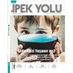 Modern İpek Yolu Dergisi Sayı: 12 Temmuz 2020