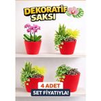Modern Kırmızı Saksı Seti (4 Adet) | Orkide ve Ev Bitkileri Için