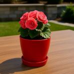 Modern Küçük Begonya Saksı 1,5 Litre Tabaklı Çiçek Saksısı – Iç ve Dış Mekana Uygun 14X13 cm - Kırmızı