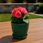 Modern Küçük Begonya Saksı 1,5 Litre Tabaklı Çiçek Saksısı – Iç ve Dış Mekana Uygun 14X13 cm - Yeşil
