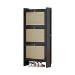 Modern Rattan ayakkabı dolabı giriş yolu ince depolama raf 2/3 Flip çekmeceli ücretsiz ayakta nizer topuklu ve terlik şık koridor mobilya