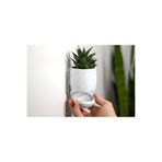 Modern Tarz Duvar Askılı Mermer Desen Plastik Saksı 10 Cm (KÜÇÜK BOY), THEPLASTI0110
