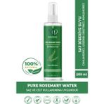 Modes Reine Pure Rosemary Water -Saf Biberiye Suyu