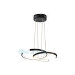 Modi Lighting Ikili Hilal 35CM Siyah LED Avize MD65