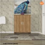 Modilayn Modilayn ARD-112 70 X76X 32 cm Ayakkabılık Antre Ayakkabılık Çok Amaçlı Dolap Ayakkabı Dolabı-Meşe