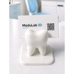 ModuLab 3D 3D Diş Şeklinde Kartvizitlik Masaüstü Kart Tutucu Dekoratif Diş Hekimi Standı - 1 Adet - Beyaz