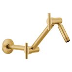 Moen S116BG Acc-Premium 16 inç Döner Ayarlanabilir Duş Kolu, Fırçalanmış Altın