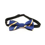Mogta Bow Tie Kedi Tasması