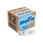 Molfix 12'li İzotonik Karma Islak Havlu Mendil