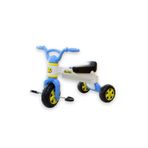Moli Toys Moli Bisiklet (kız Ve Erkek Çocuklara Uygun Renklerde)
