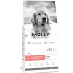 Molly 2 kg Somonlu Orta ve Büyük Irk Köpek Maması