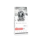 Molly Büyük Irk Derma Care Hipoalerjenik Somonlu 2 kg Yetişkin Köpek Maması