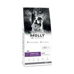 Molly Büyük Irk Hipoalerjenik Kuzu Etli ve Yaban Mersinli Düşük Tahıllı 15 kg Yetişkin Köpek Maması