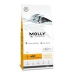 Molly Düşük Tahıllı Hipoalerjenik Tavuklu 15 kg Yetişkin Kedi Maması
